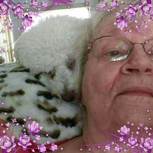 Meet your Posher, Helene